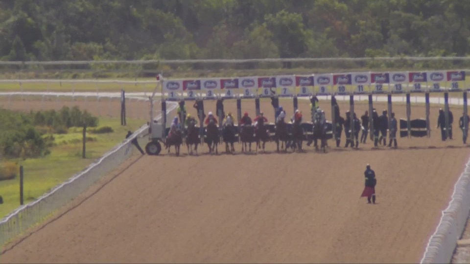 4Racing Fairview SA 15 Nov 2022 Race 5