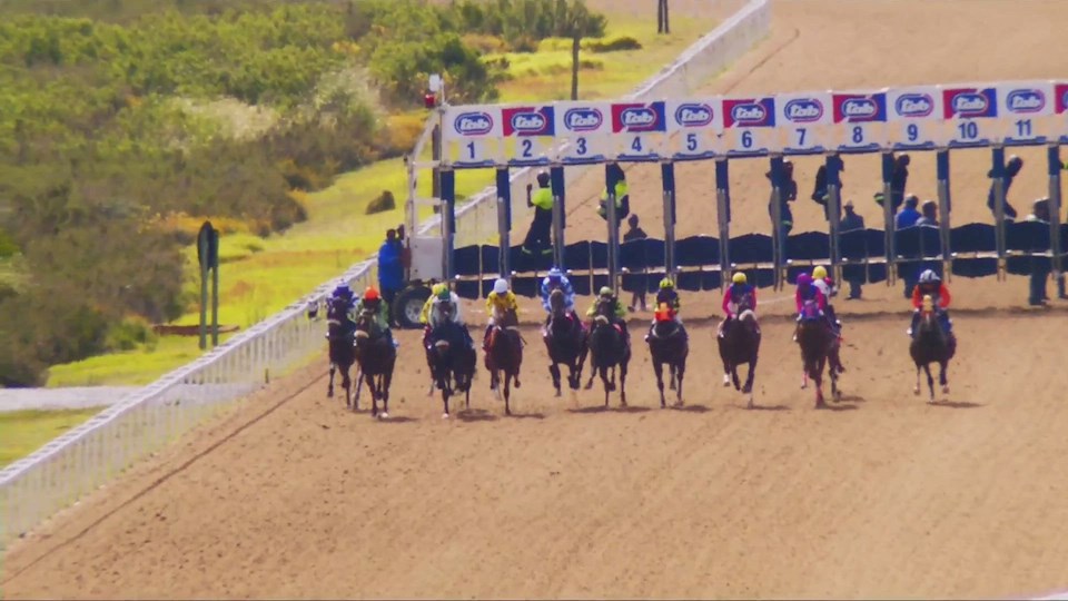 4Racing Fairview SA 18 Nov 2022 Race 6
