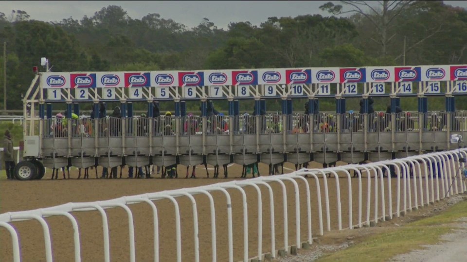 4Racing Fairview SA 19 Aug 2022 Race 4