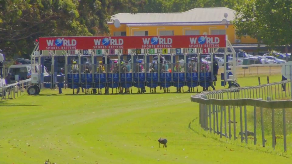 4Racing Hollywoodbets Kenilworth SA 03 Dec 2022 Race 5