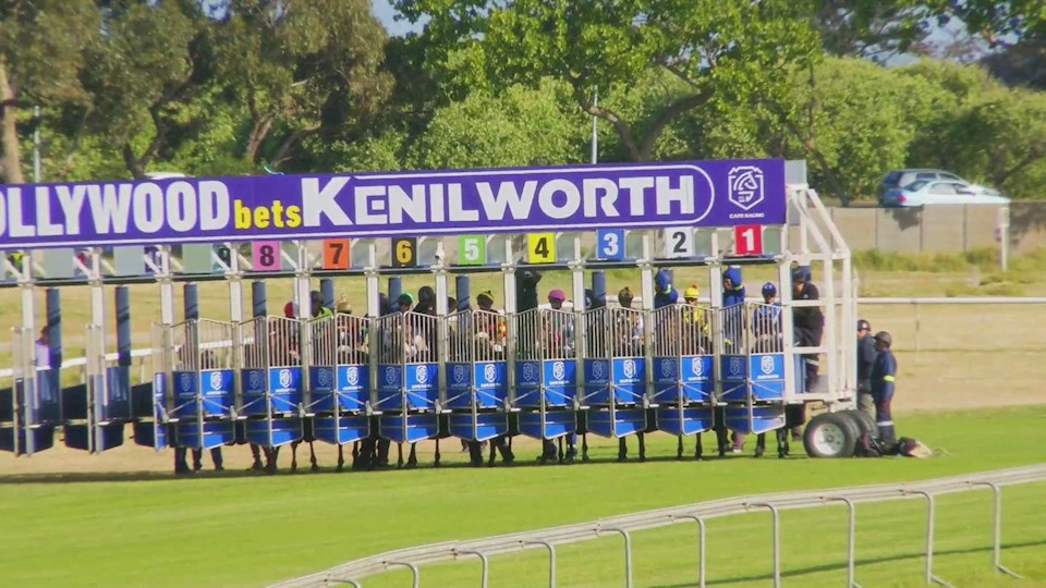 4Racing Hollywood Bets Kenilworth SA 05 Nov 2022 Race 8