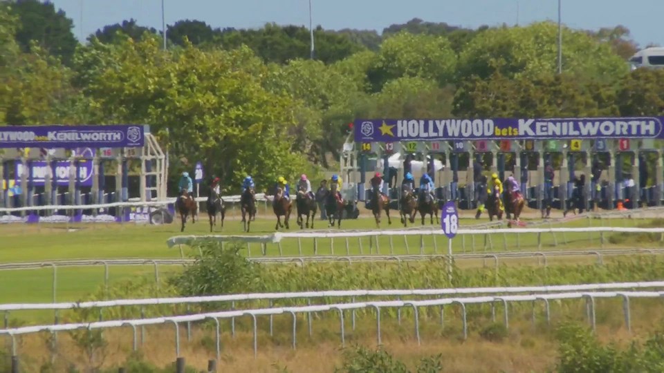 4Racing Hollywoodbets Kenilworth SA 07 Dec 2022 Race 5