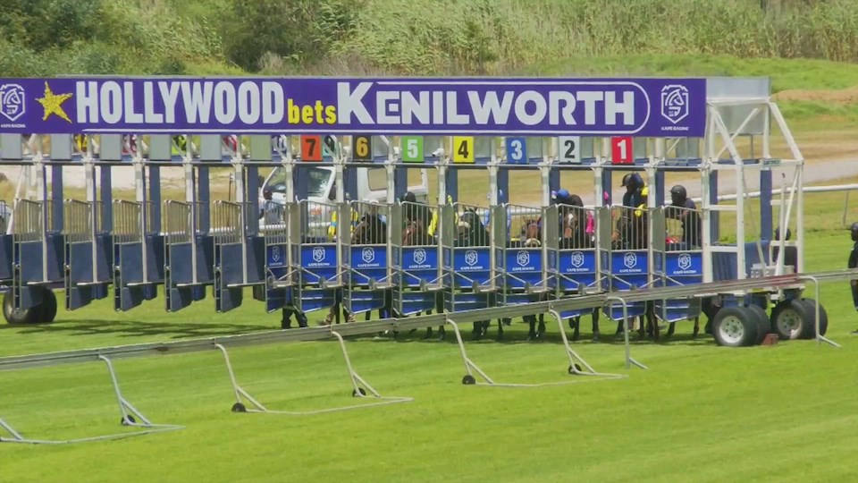 4Racing Hollywoodbets Kenilworth SA 19 Nov 2022 Race 2