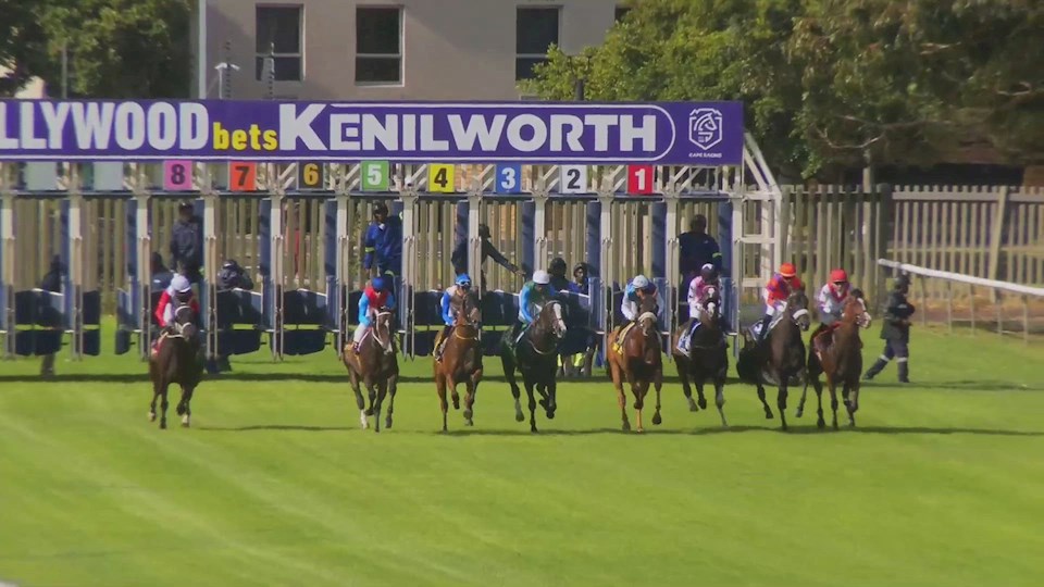 4Racing Hollywoodbets Kenilworth SA 20 Feb 2023 Race 8
