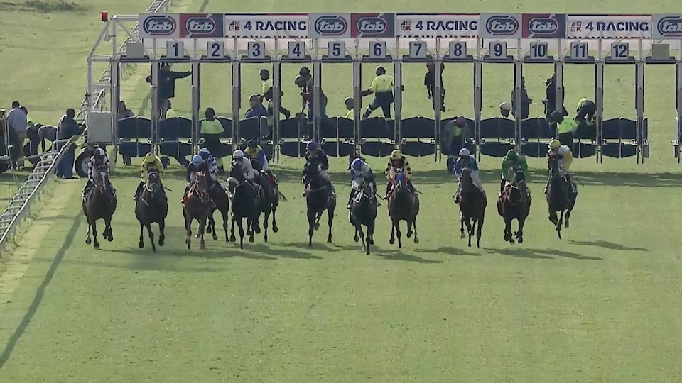 Turffontein Race 8 Results Turffontein SAF Race Results CCQHXN turffontein-race-8-results-turffontein-saf-race-results-ccqhxn